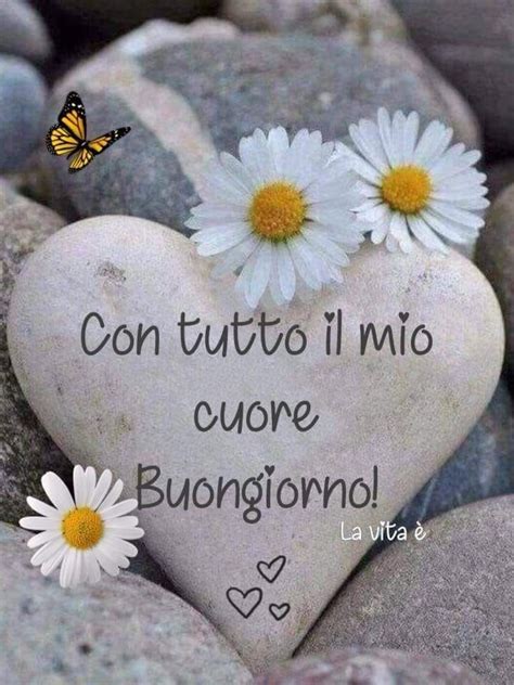 buona giornata buongiorno belle donne